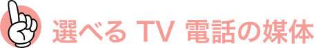 選べるTV電話の媒体